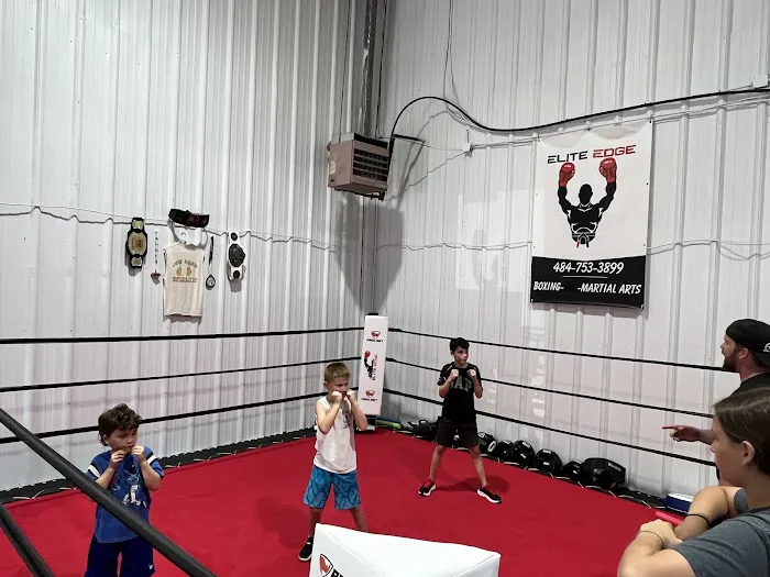 Elite Edge Boxing, Fitness, and Martial Arts Picture 3