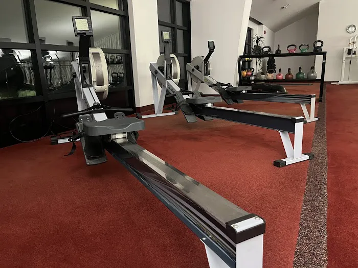 WOLF Fitness Mullica Hill Picture 8