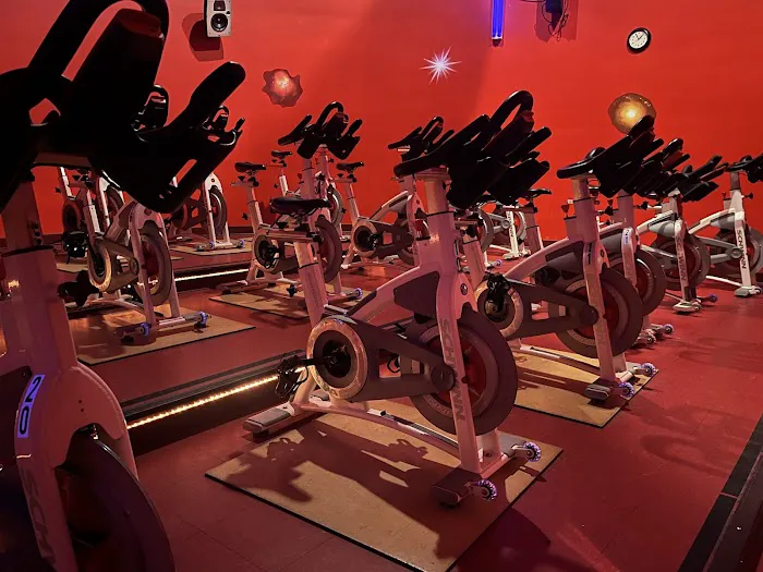 WOLF Fitness Mullica Hill Picture 2