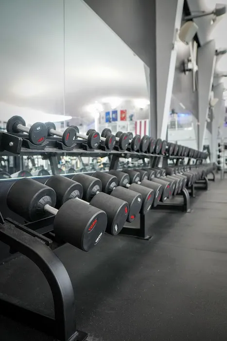 WOLF Fitness Mullica Hill Picture 4