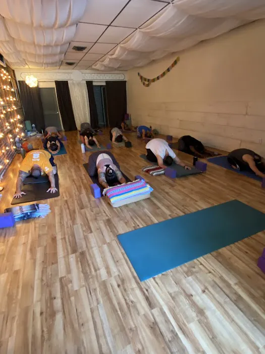 Bee Inspired Yoga Picture 9