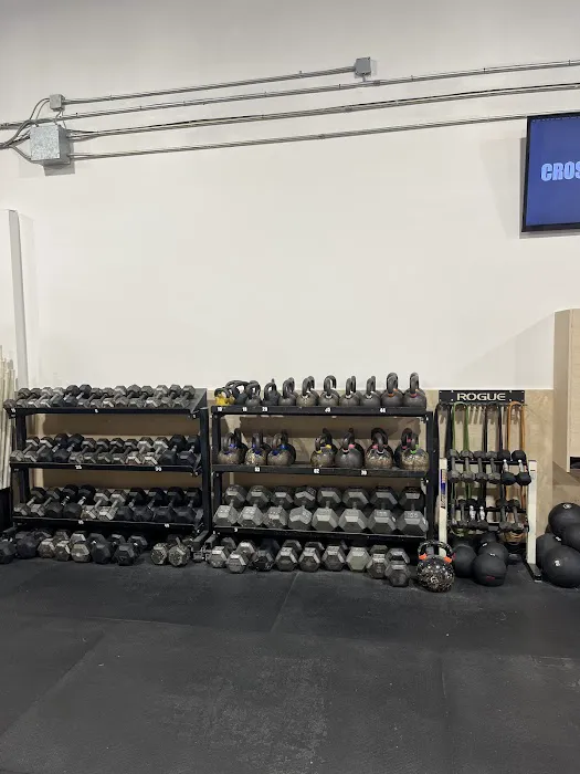 CrossFit 1Force Picture 9