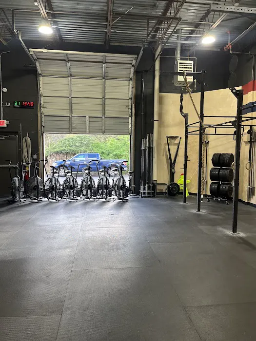 CrossFit 1Force Picture 4