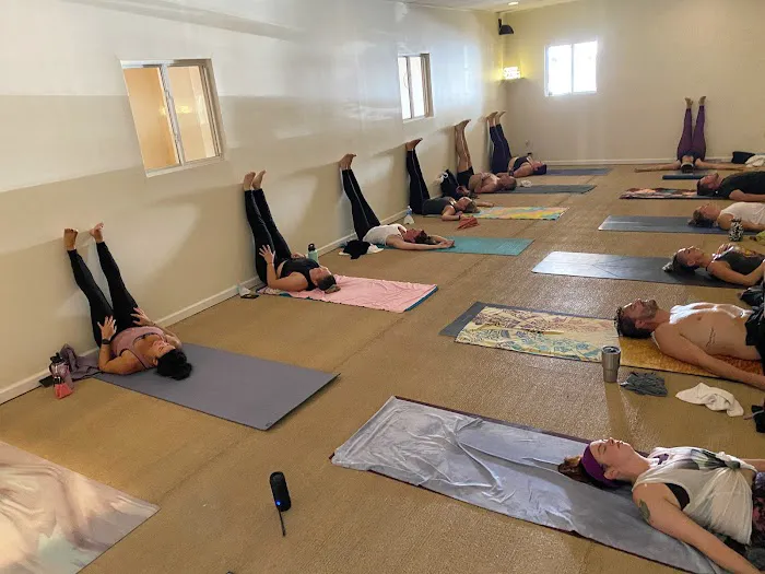 Laughing Buddha Hot Yoga - West Deptford Picture 6