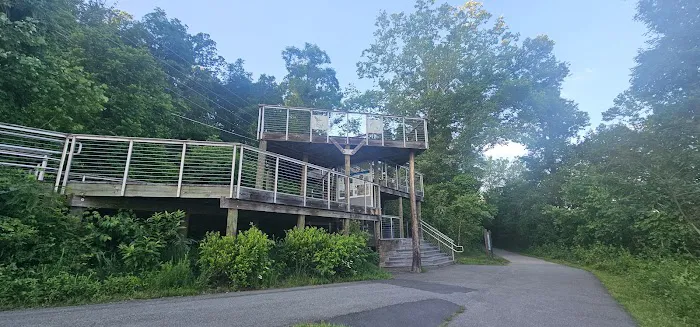 Calisthenics Park Picture 3