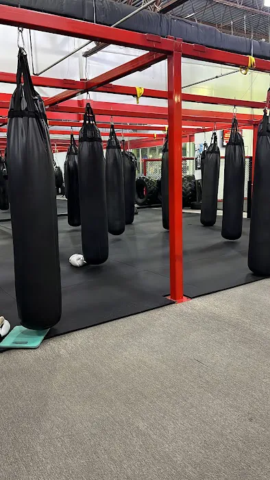 UFC GYM Woodbridge Picture 1