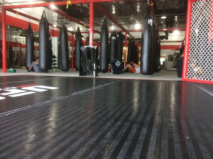 UFC GYM Woodbridge Picture 3