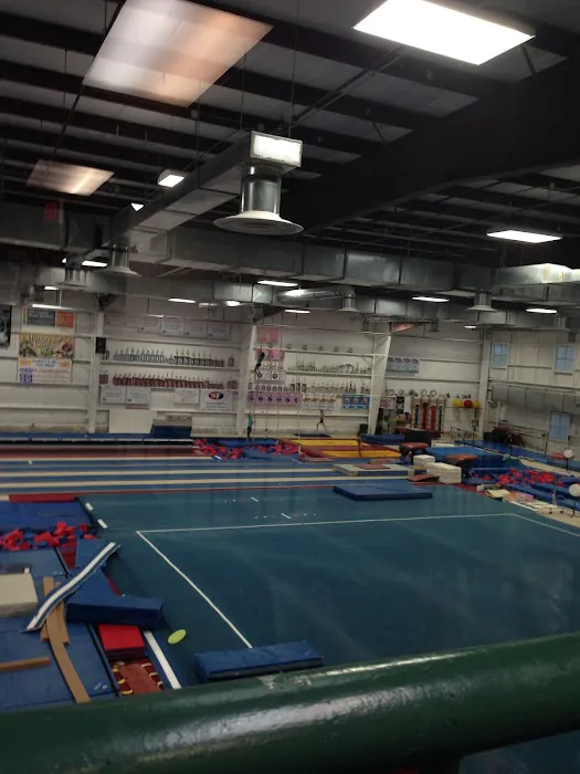 Apollo Gymnastics Picture 1