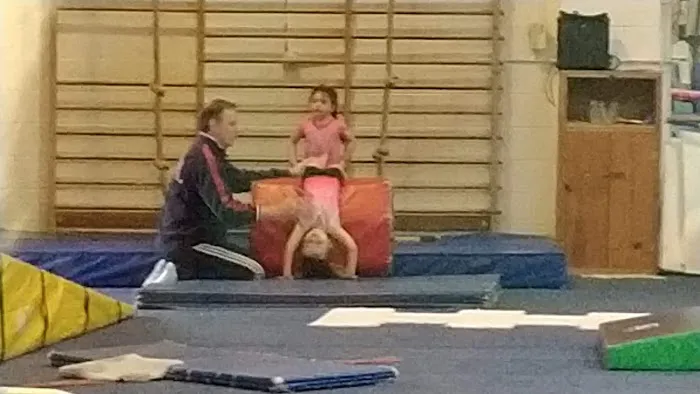 Fairfax Gymnastics Academy Picture 2