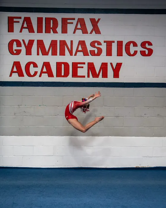 Fairfax Gymnastics Academy Picture 7
