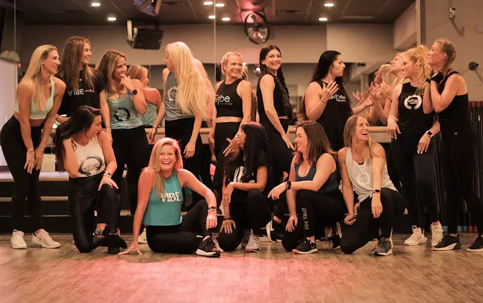 Vibe vault fit Picture 9