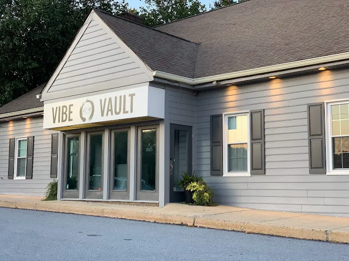 Vibe vault fit Picture 2