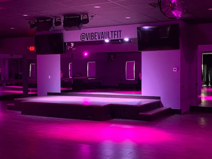 Vibe vault fit Picture 4