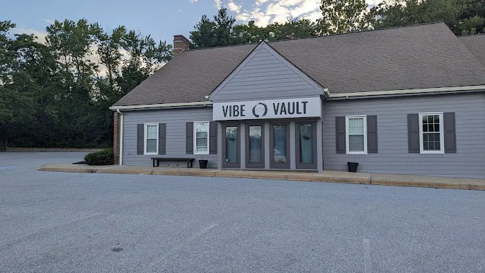 Vibe vault fit Picture 1
