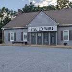 Vibe vault fit