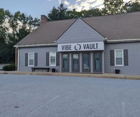 Vibe vault fit