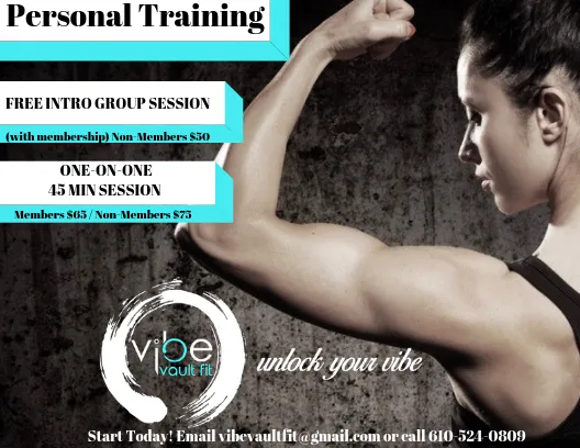 Vibe vault fit Picture 10