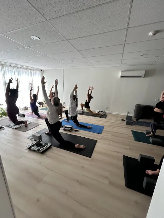 Dharma Yoga Picture 7