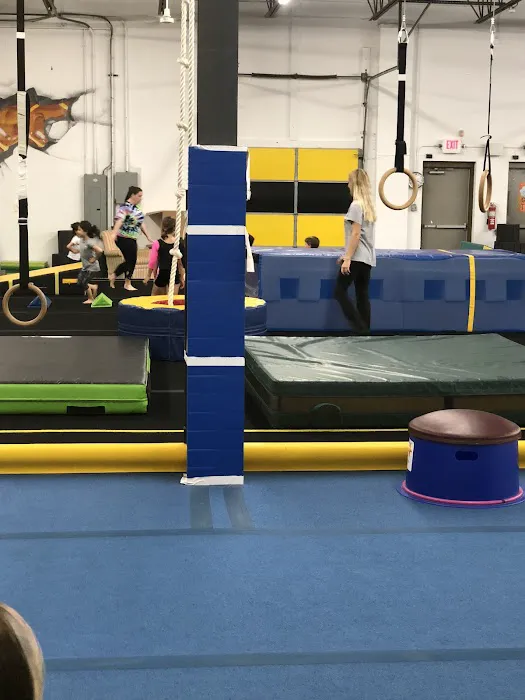 JK Gymnastics Picture 1