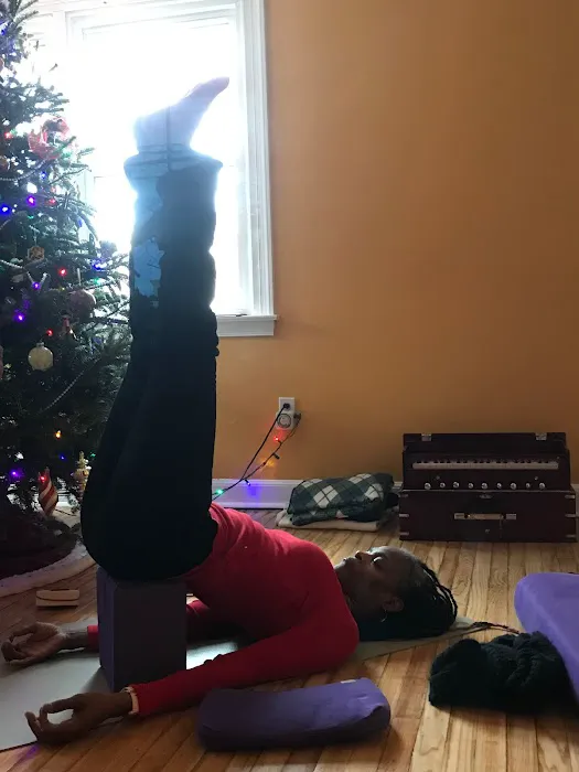 TriYoga hOMe Philadelphia Picture 5