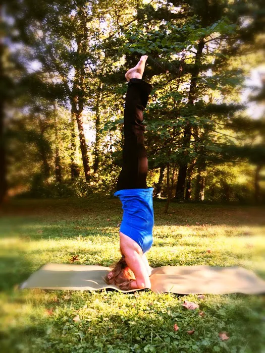 SyteraYoga Picture 8