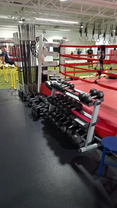 Society Boxing and Fitness Picture 4