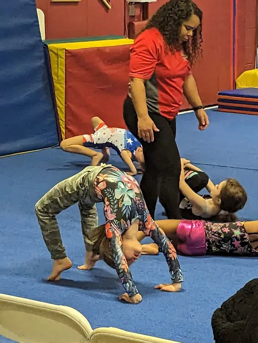 Axiom Gymnastics Center Picture 2