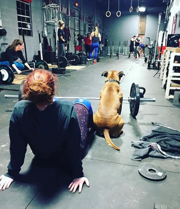 Bellum Strength & Conditioning- G City CrossFit Picture 3