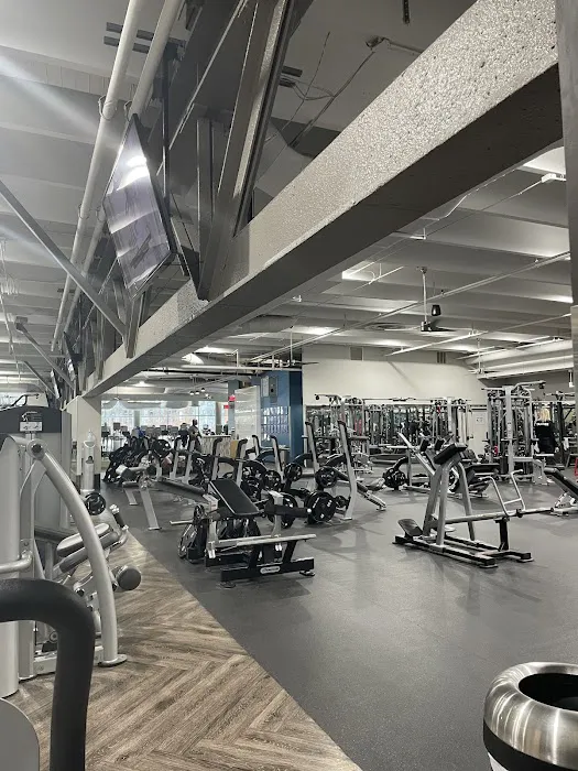 Onelife Fitness - McLean Picture 3