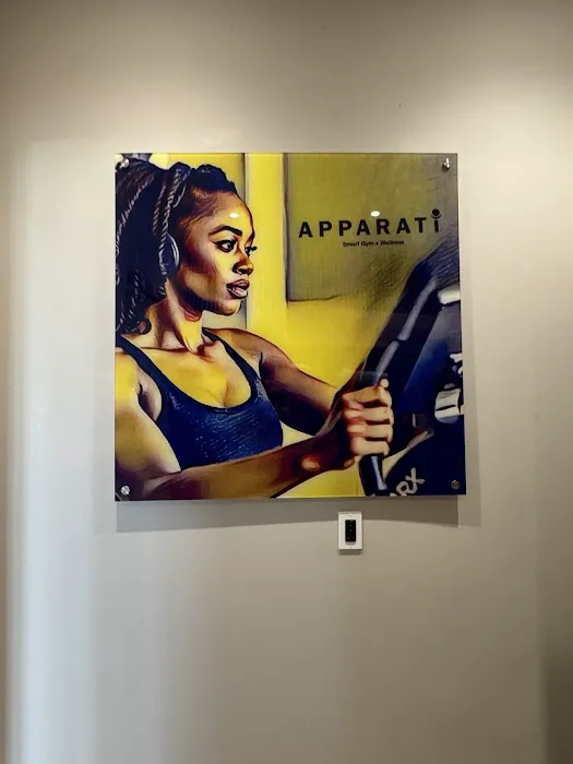Apparati Smartgym+Wellness Picture 5