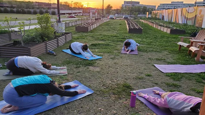 Yoni Bandha - Yoga & Birthing Classes Picture 4
