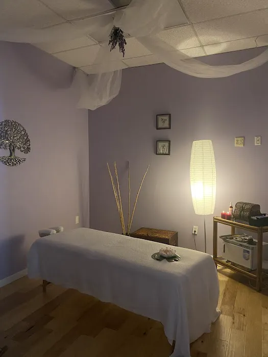Peace of Mind & Body Yoga & Wellness Studio Picture 3