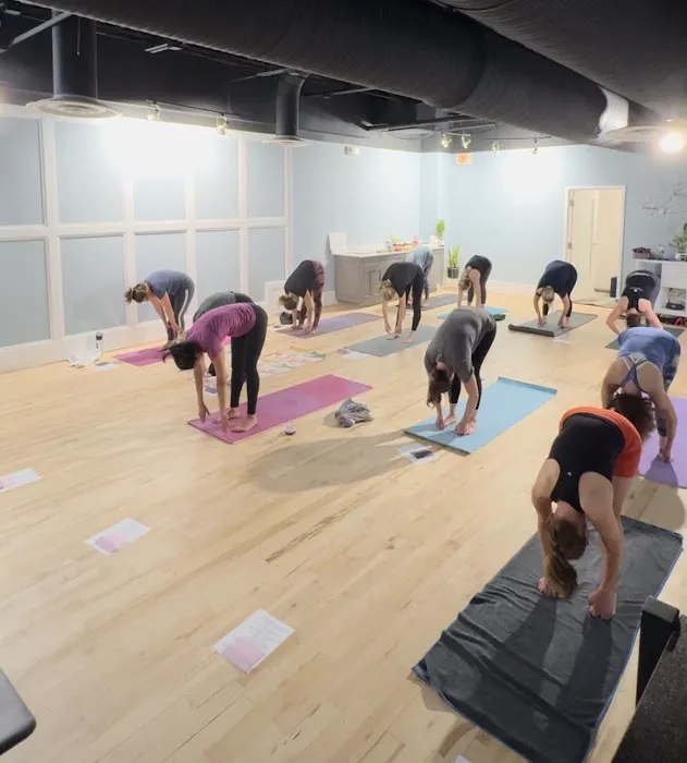 Elahyoga Picture 8