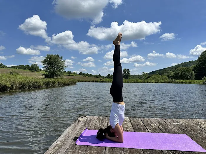Elahyoga Picture 7