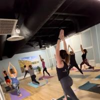 Elahyoga ico