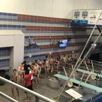 Dominion Dive Club ico