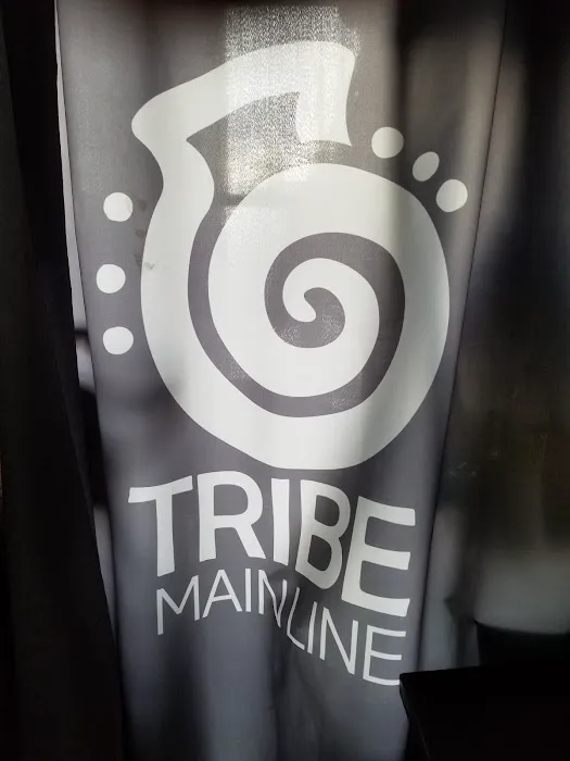 Tribe Fitness Main Line Picture 5