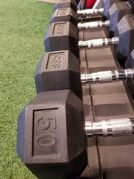 Tribe Fitness Main Line Picture 1