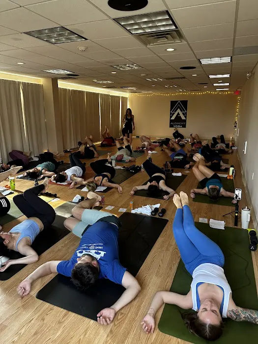Alchemy Yoga KOP Picture 6