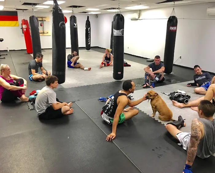 Algeo MMA & Kickboxing Picture 4
