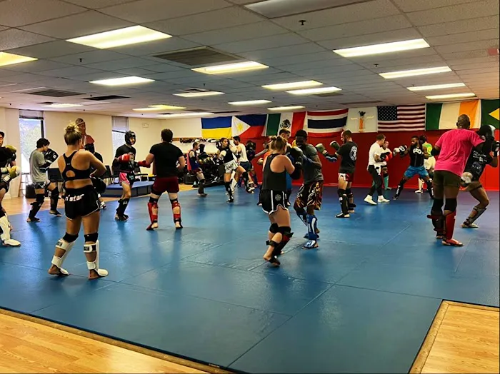 Algeo MMA & Kickboxing Picture 3