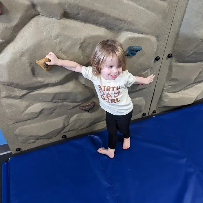 My Gym Children's Fitness Center Picture 5