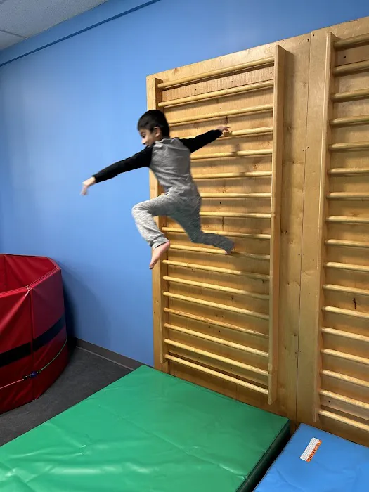 My Gym Children's Fitness Center Picture 1