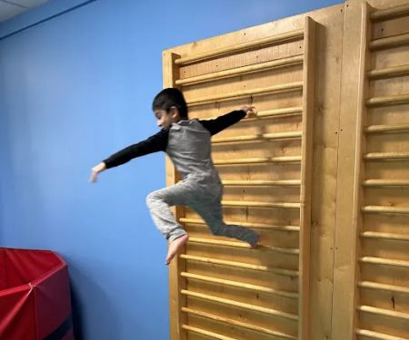 My Gym Children's Fitness Center
