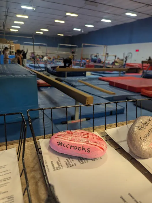 Airborne Gymnastics Academy Picture 2