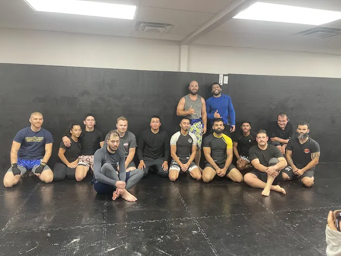 Apache MMA Picture 5