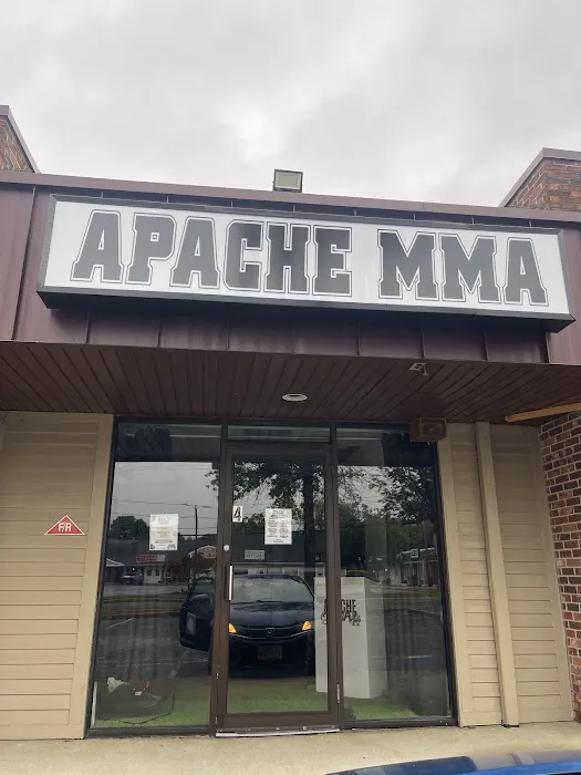 Apache MMA Picture 2