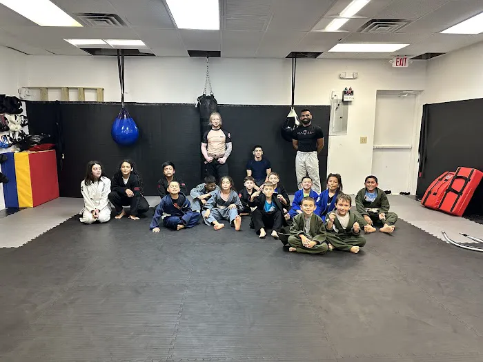 Apache MMA Picture 6
