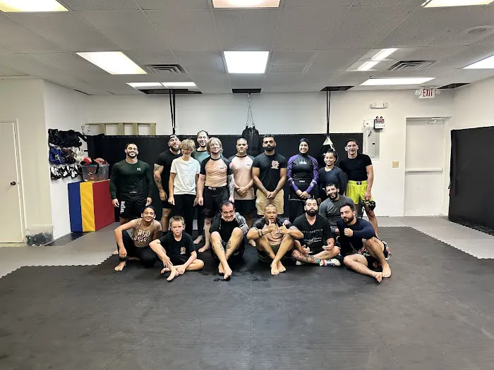 Apache MMA Picture 1