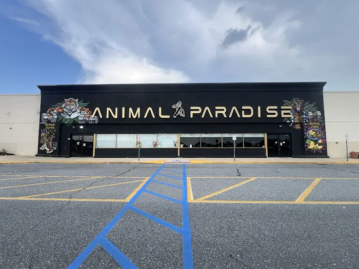Animal Paradise Gyms | Modern Bodybuilding & Fitness Facility Picture 9